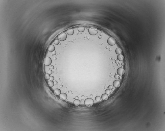 X0000114241338200911201124