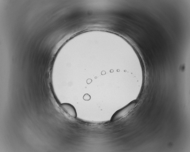 X0000114241341200911201124