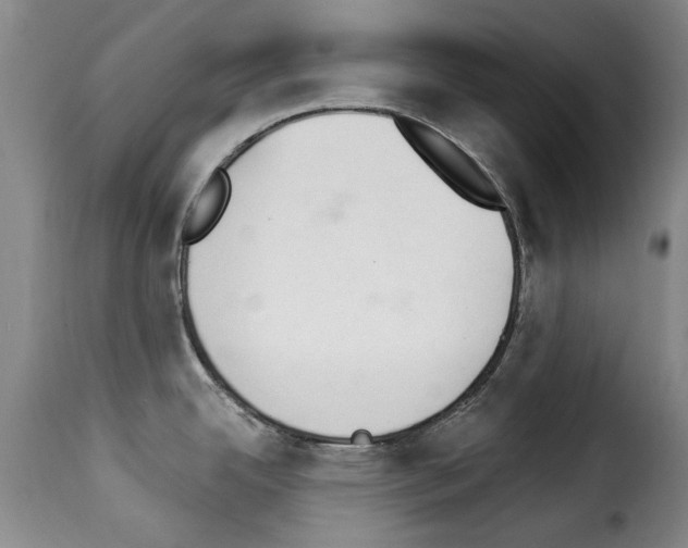 X0000114241342200911201124