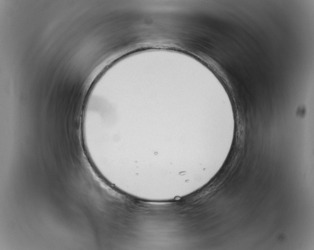 X0000114241343200911201124