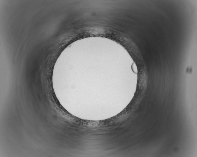 X0000114241345200911201124