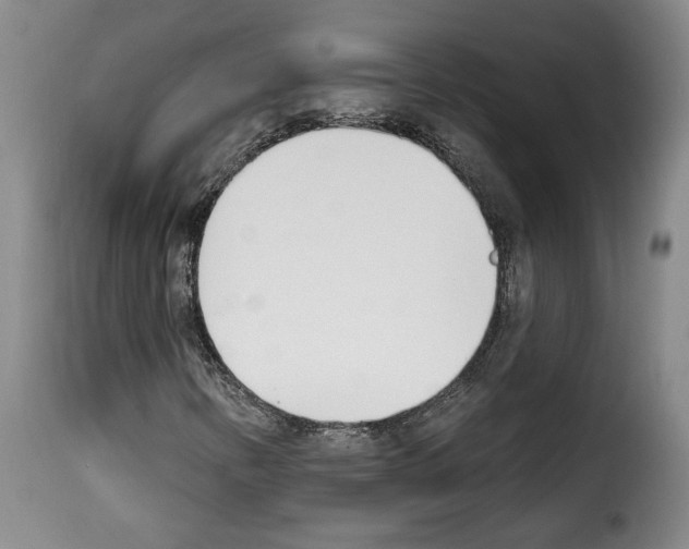 X0000114241346200911201124