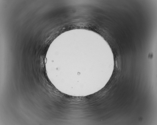 X0000114241347200911201124