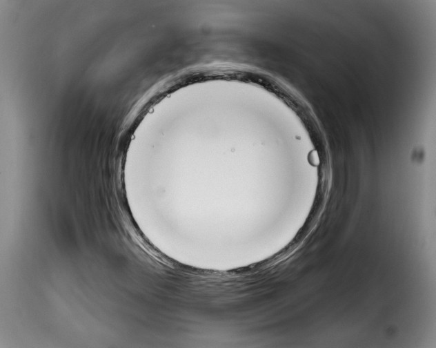 X0000114241348200911201124