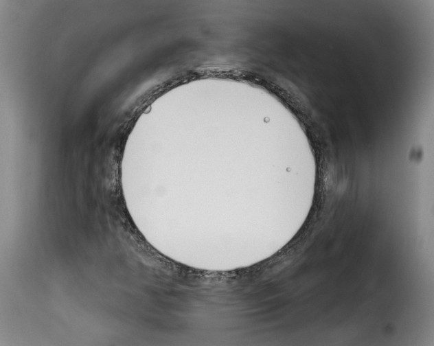 X0000114241350200911201124