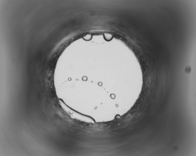 X0000114241351200911201124