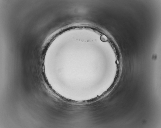 X0000114241352200911201124