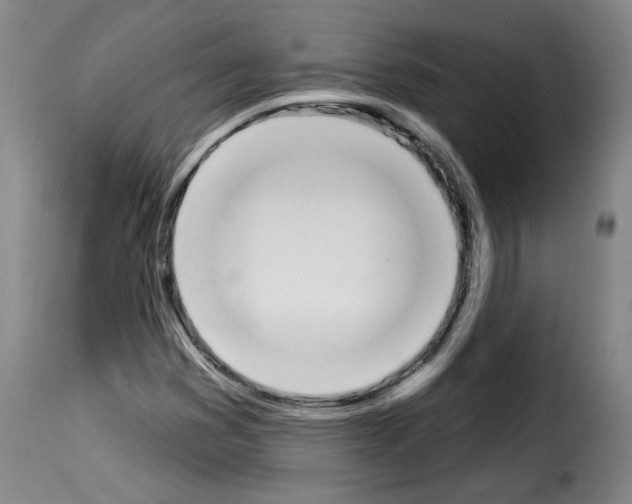 X0000114241353200911201124