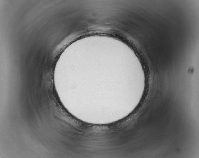 X0000114241354200911201124