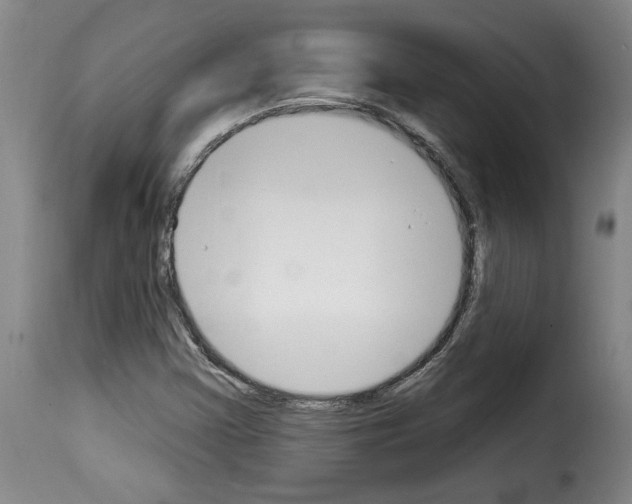 X0000114241355200911201123