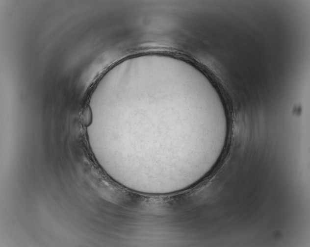 X0000114241357200911201123