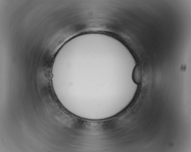 X0000114241361200911201123