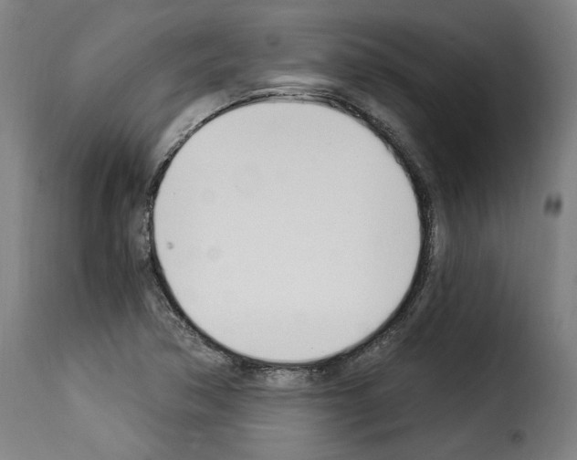 X0000114241362200911201123