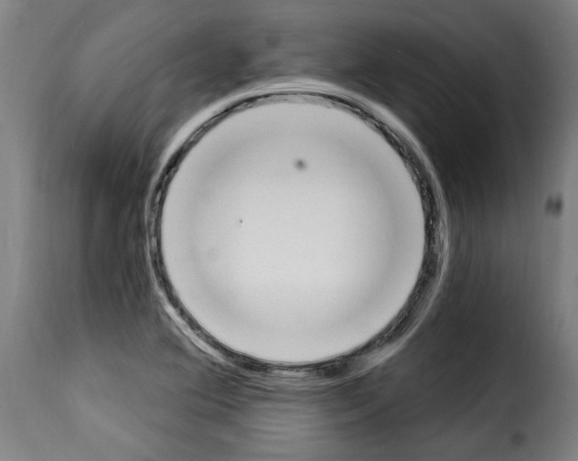 X0000114241364200911201123