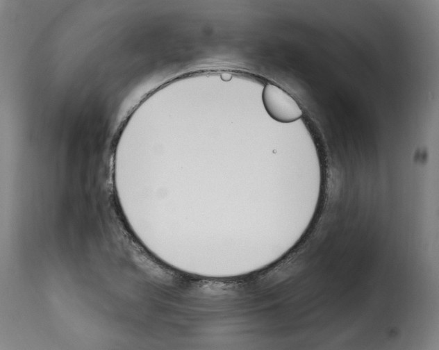 X0000114241366200911201123