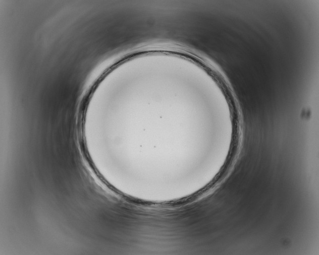 X0000114241368200911201123