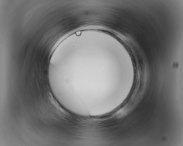 X0000114241369200911201123