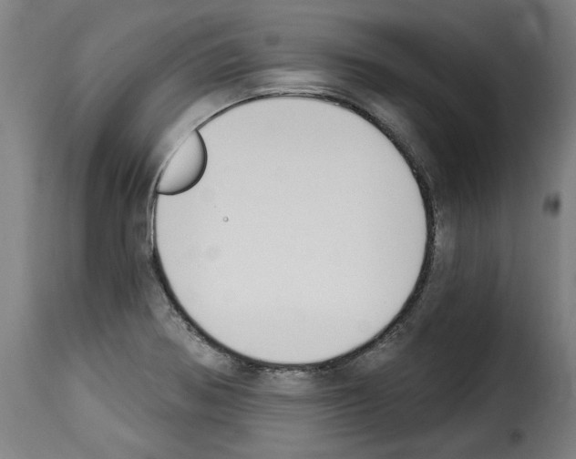 X0000114241370200911201123