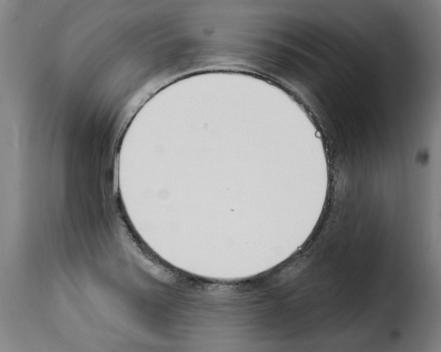 X0000114241371200911201123