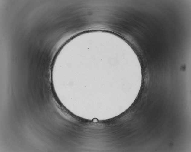 X0000114241372200911201123