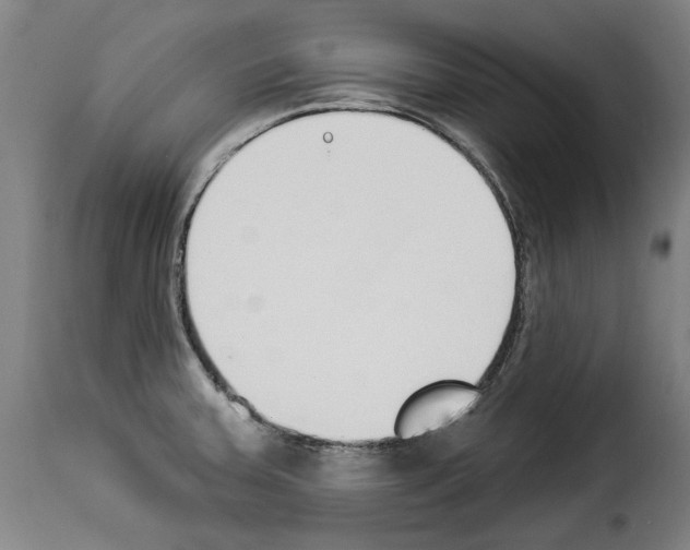 X0000114241379200911201123