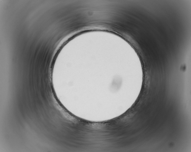 X0000114241380200911201123