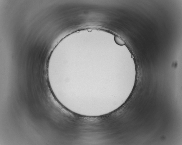 X0000114241382200911201123