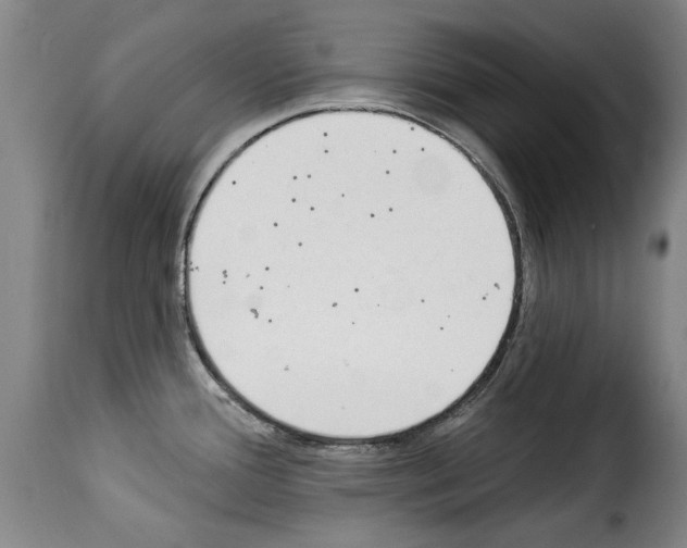 X0000114241388200911201123