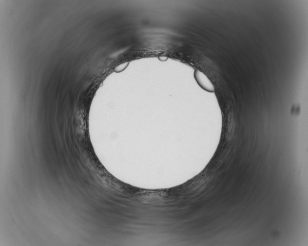 X0000114241394200911201122