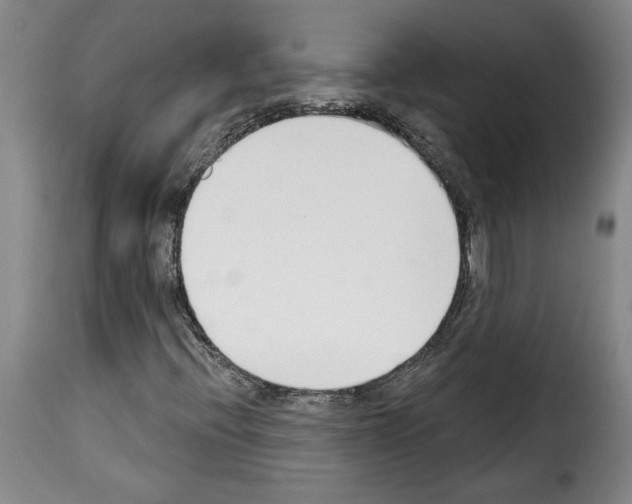 X0000114241396200911201122