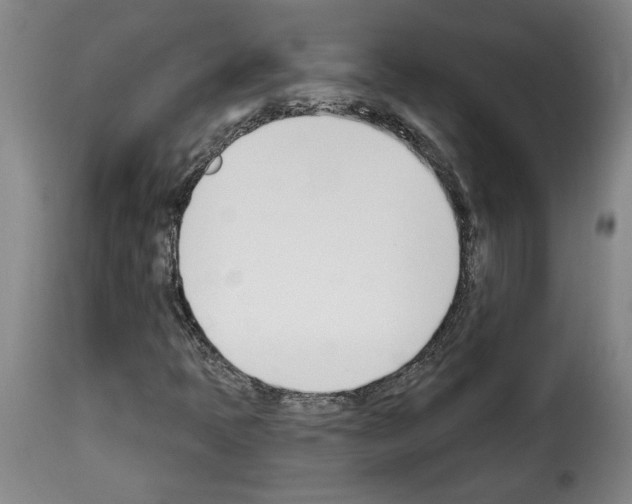 X0000114241397200911201122