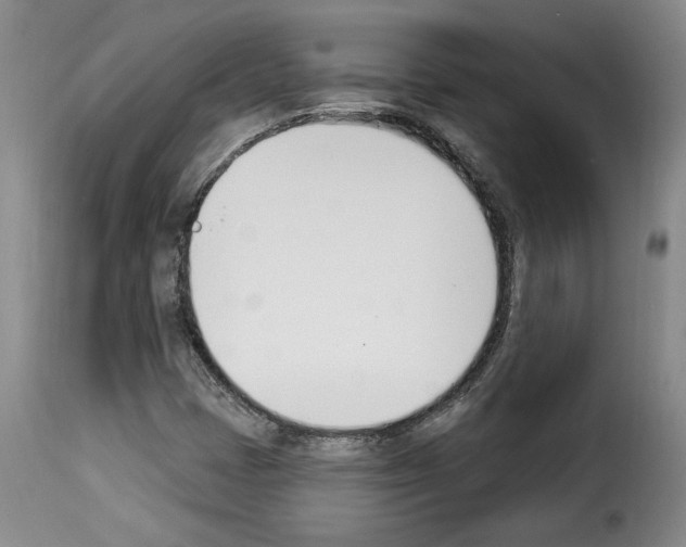 X0000114241401200911201122