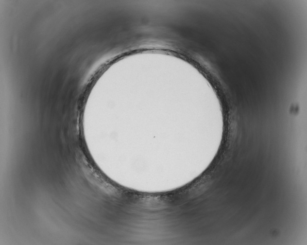 X0000114241408200911201123