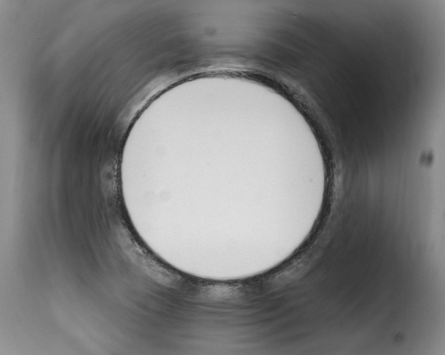 X0000114241409200911201123