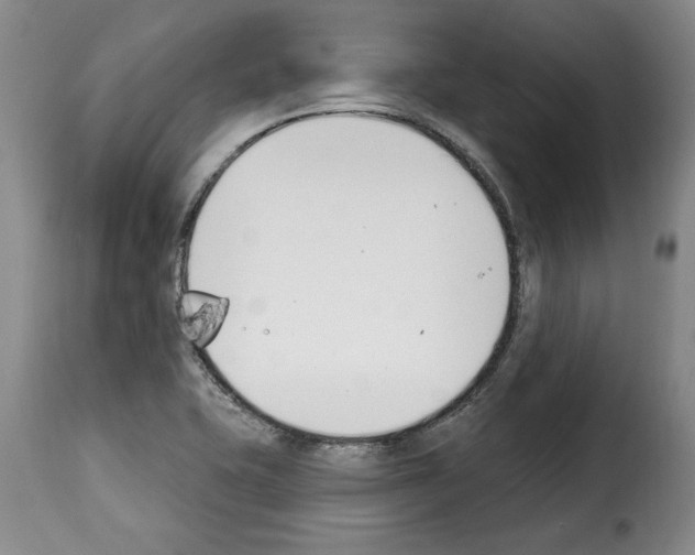 X0000114241415200911201123