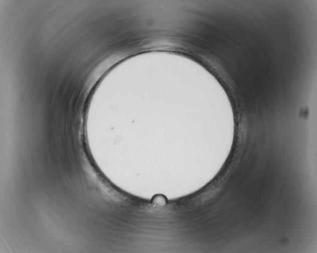 X0000114241418200911201123