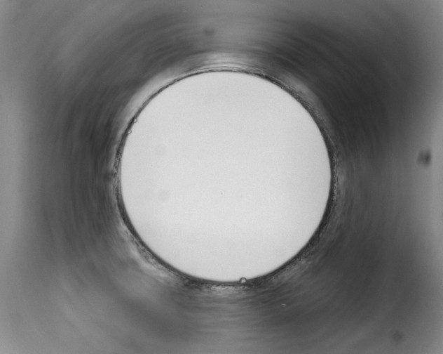 X0000114241427200911201123