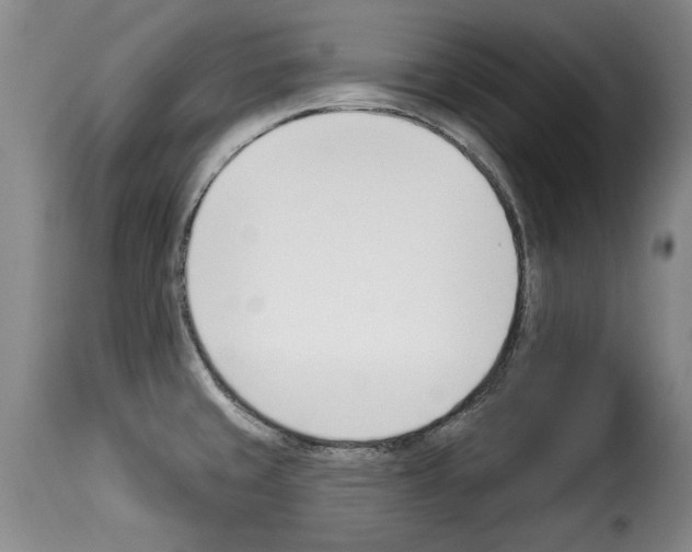 X0000114241429200911201123