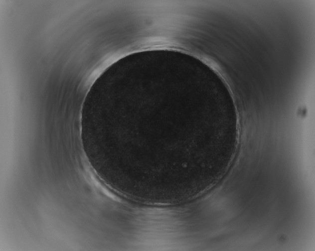 X0000114241431200911201123