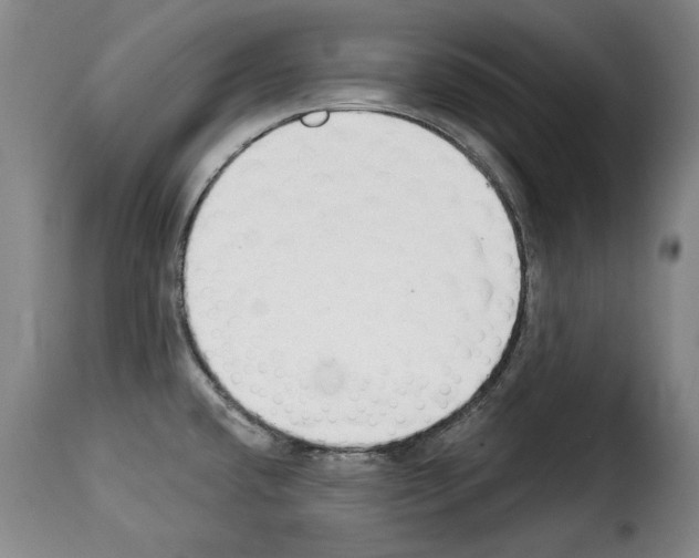 X0000114241432200911201123