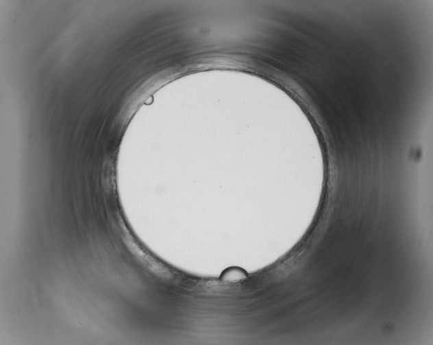 X0000114241433200911201123