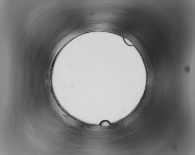 X0000114241434200911201123