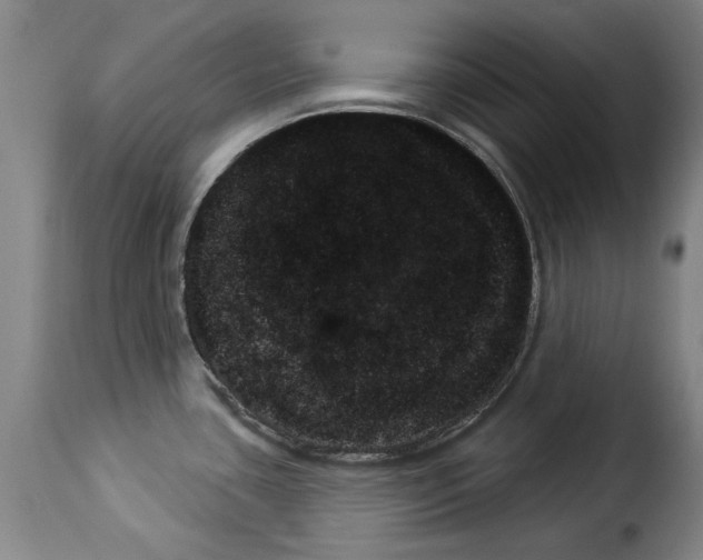 X0000114241435200911201123