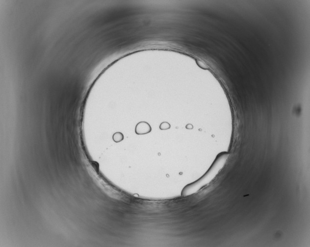 X0000114241438200911201123