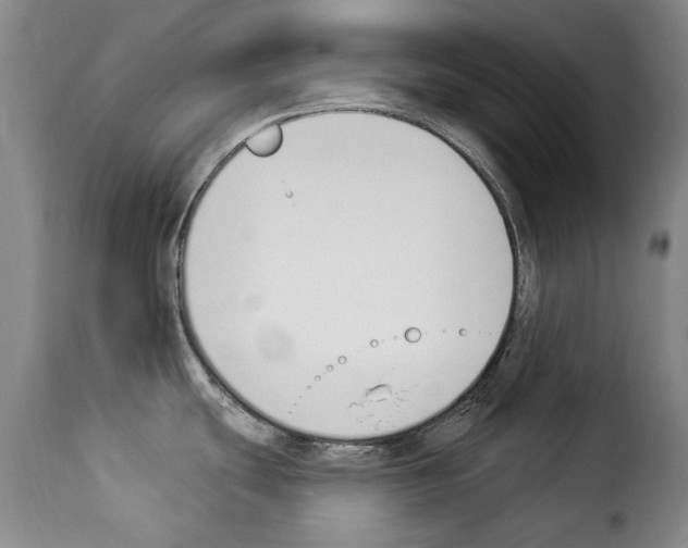 X0000114241439200911201123