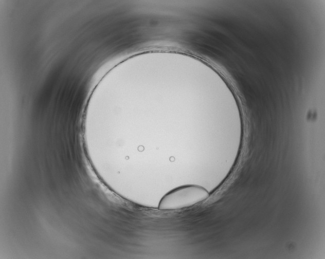 X0000114241440200911201123