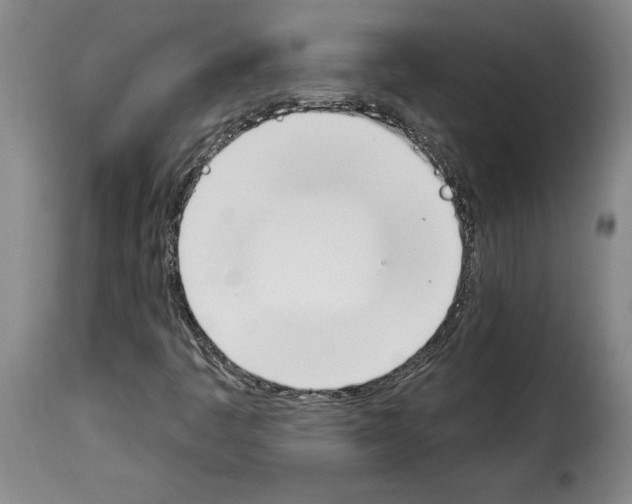 X0000114241445200911201122