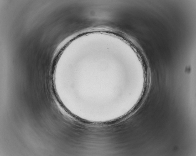 X0000114241452200911201122