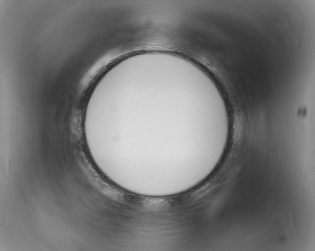 X0000114241454200911201122