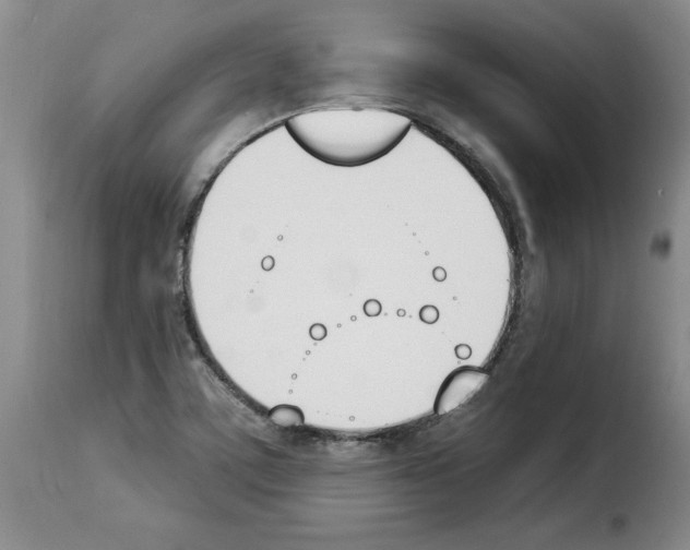 X0000114241459200911201122